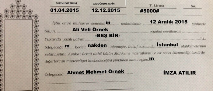 Bono veya Emre Yazılı Senet Nasıl Düzenlenmelidir?(TTK.776-TTK.m.777)