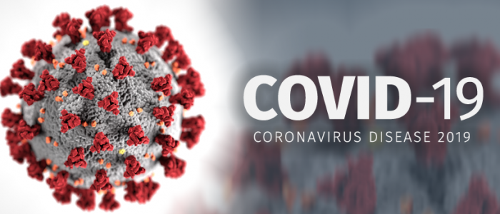 Coronavirüs(Covid 19) Salgını Nedeniyle Devletin Sorumluluğu