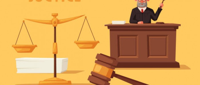 İdari Dava Türleri, İptal ve Tam Yargı Davaları(İYUK.m.2)